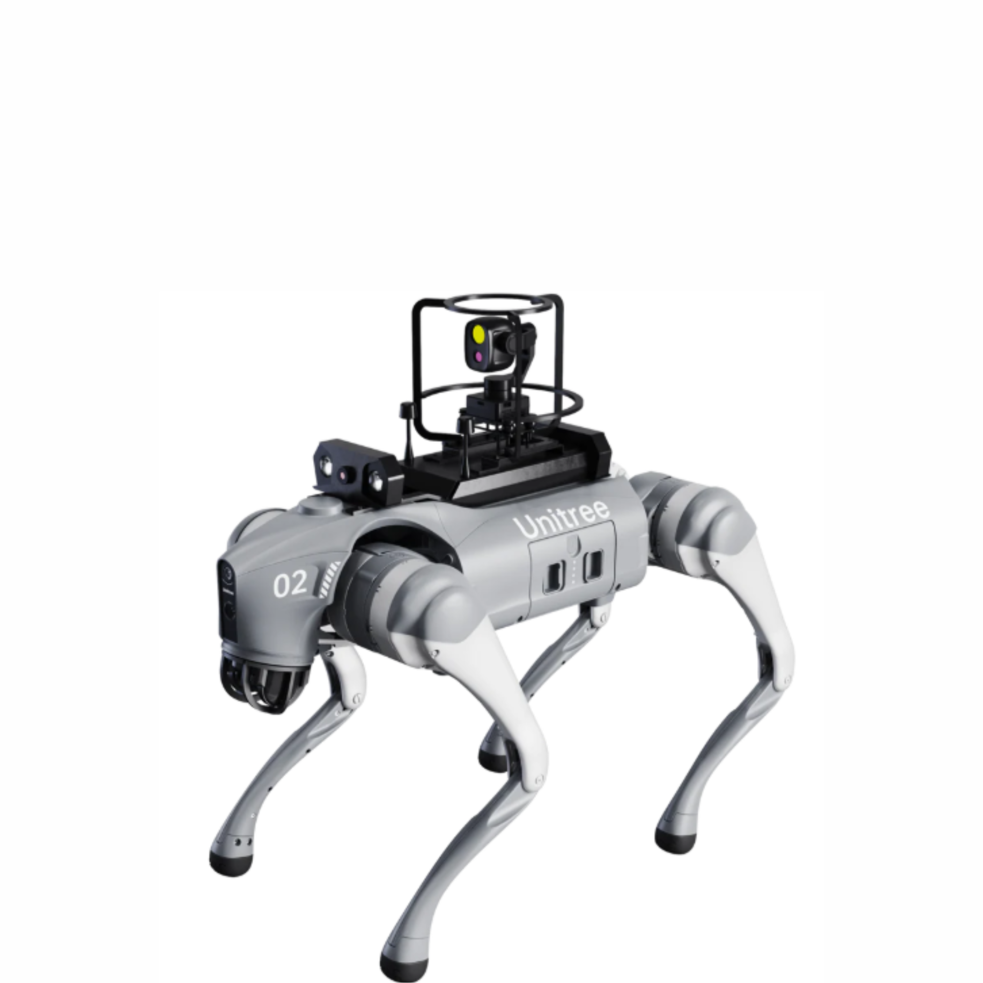 Quadrupeds