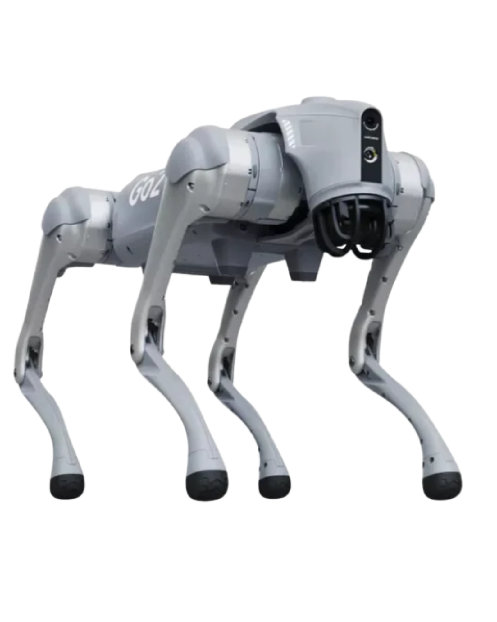 Unitree Go2 PRO Robot Dog