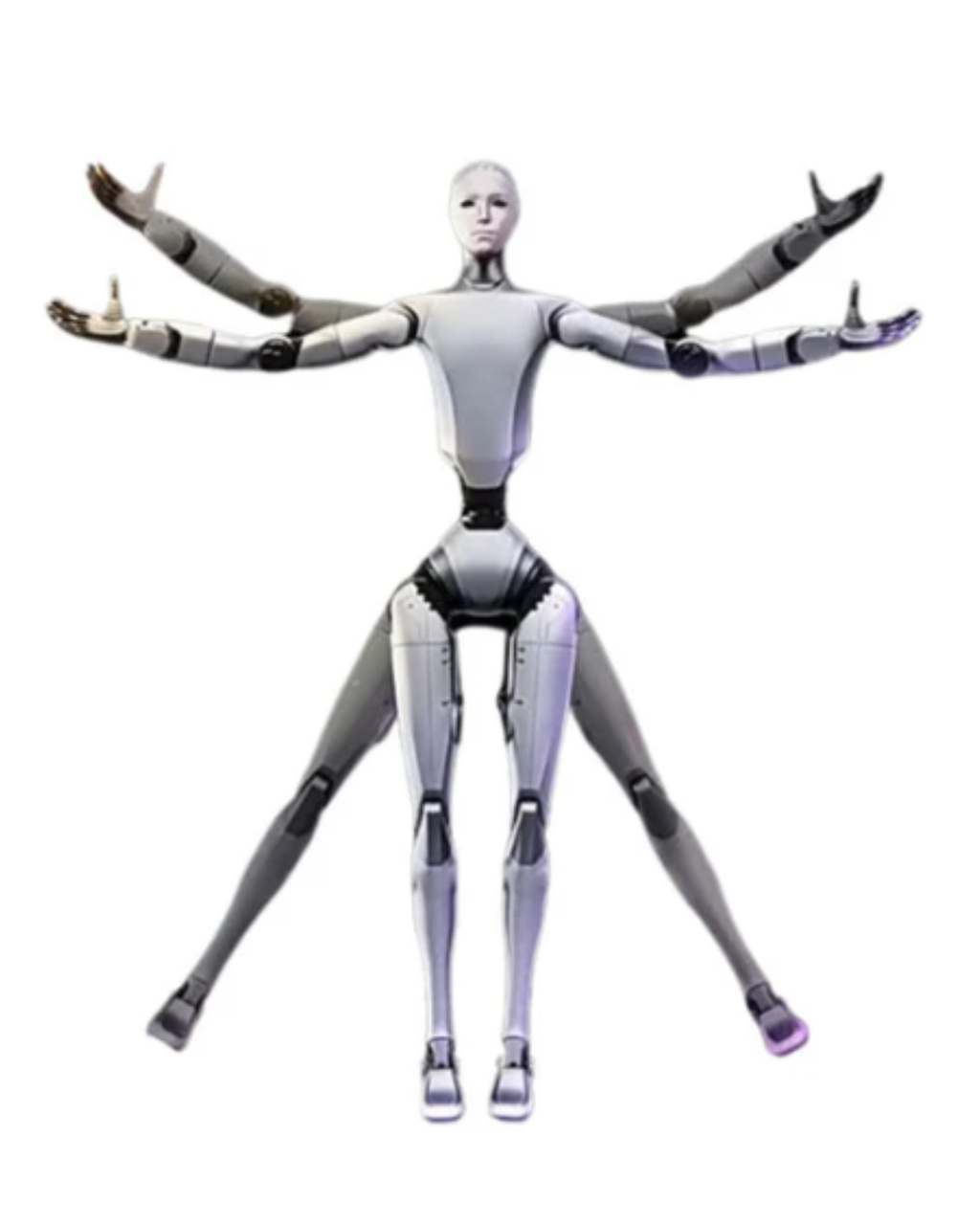 H2 Humanoid
