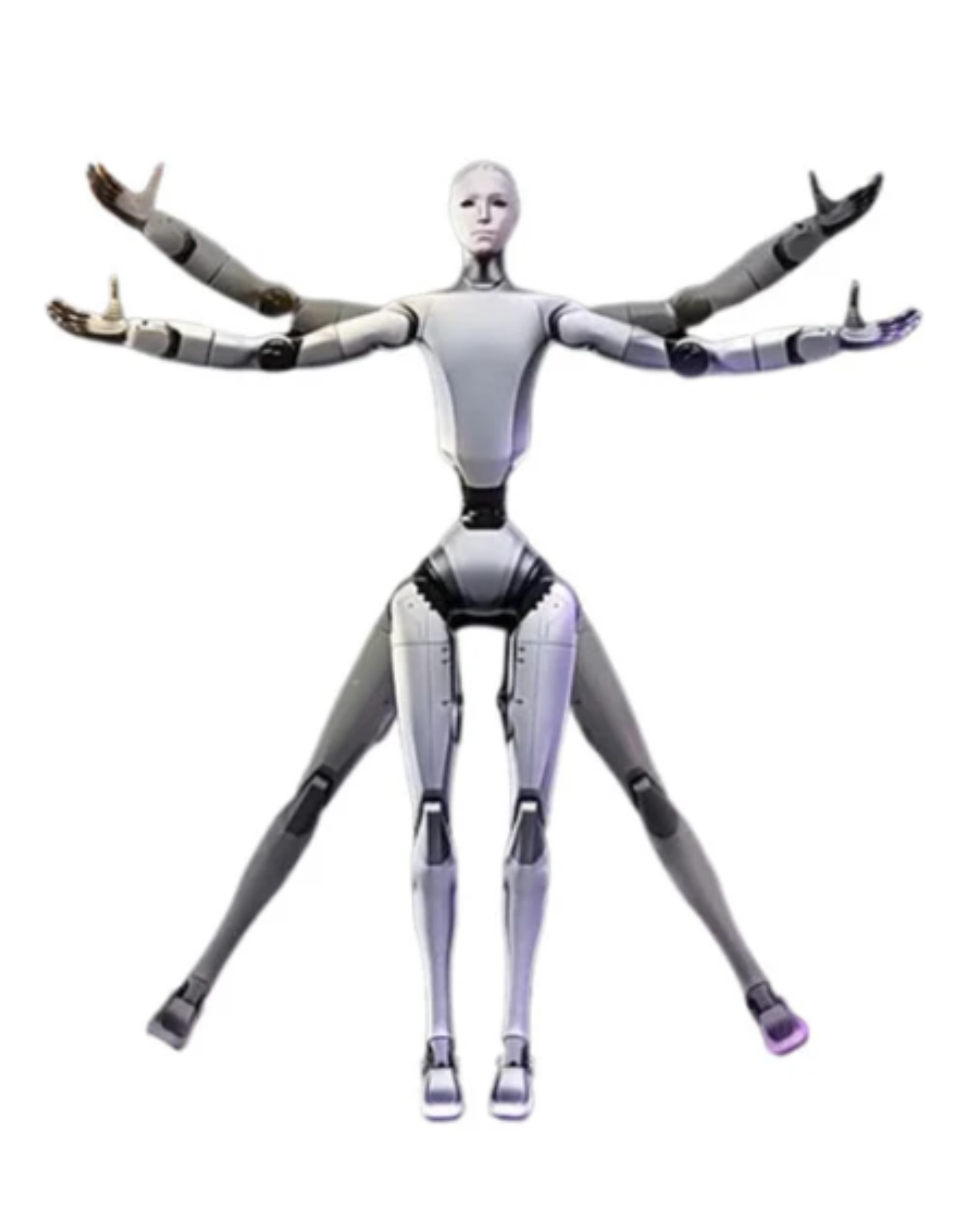 H2 Humanoid